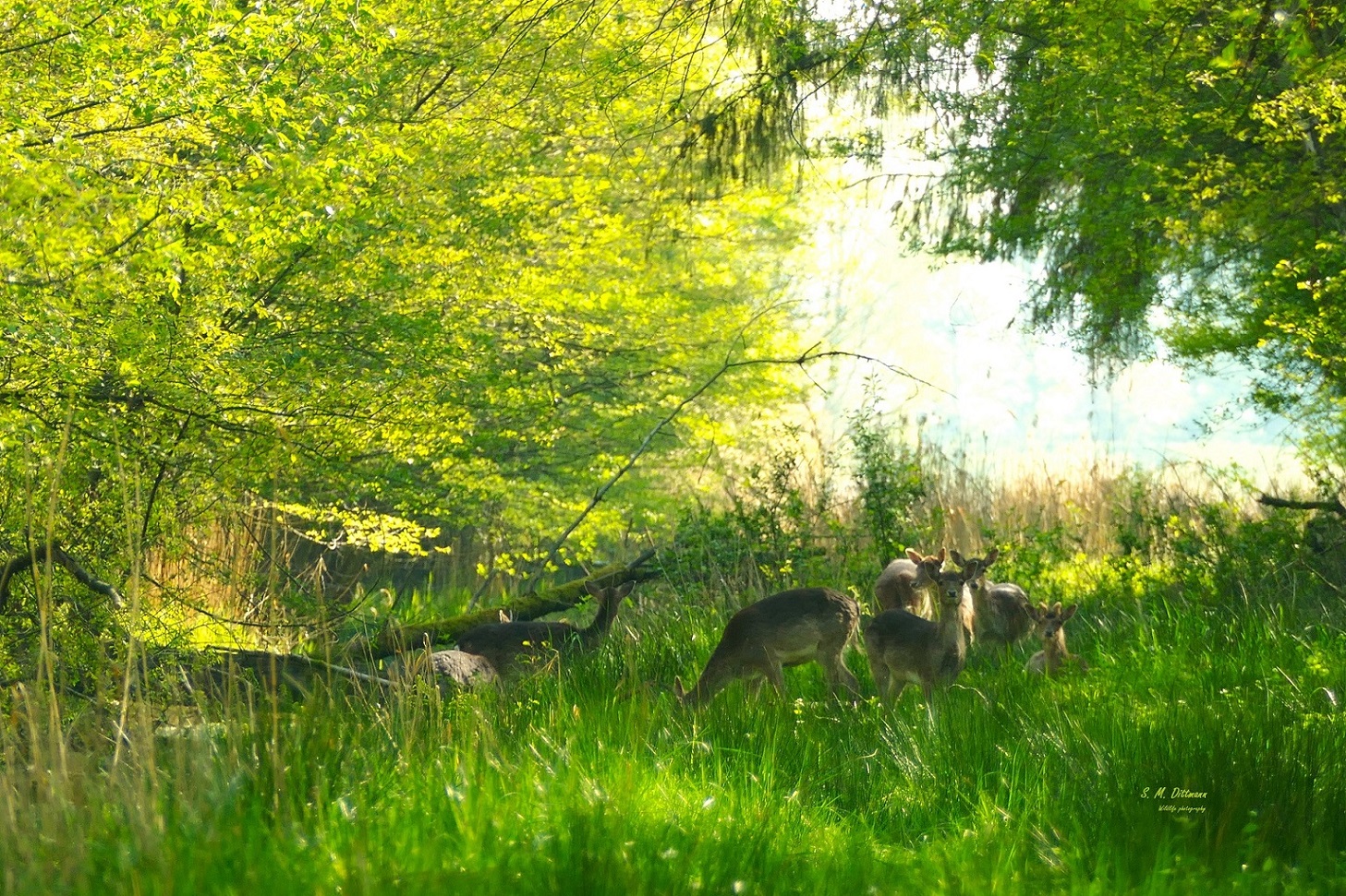 Am Wassergraben