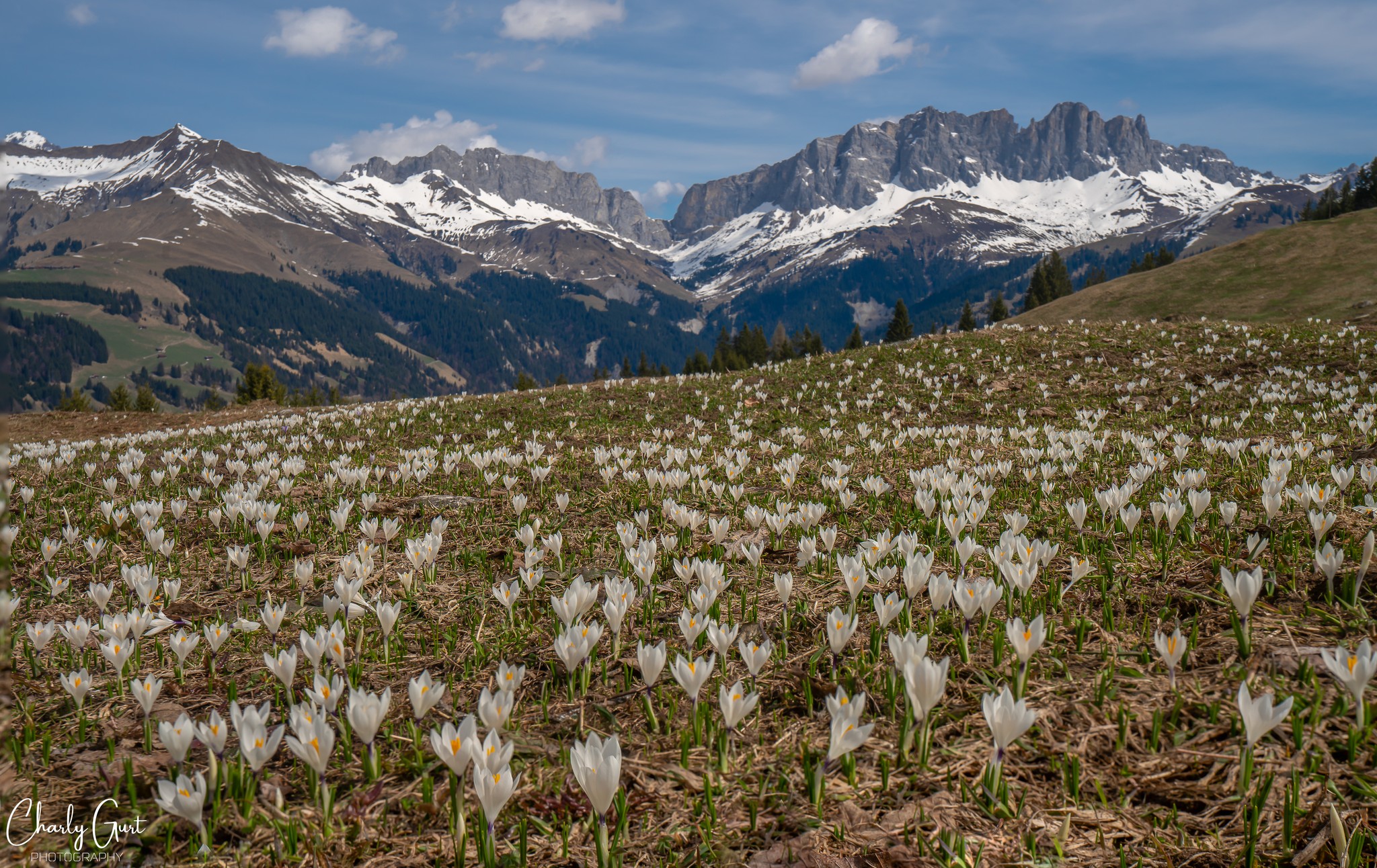 Bergfrieden