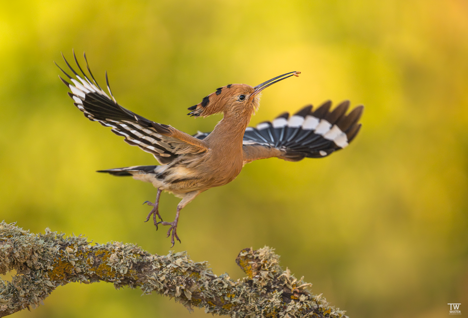 Abflug...