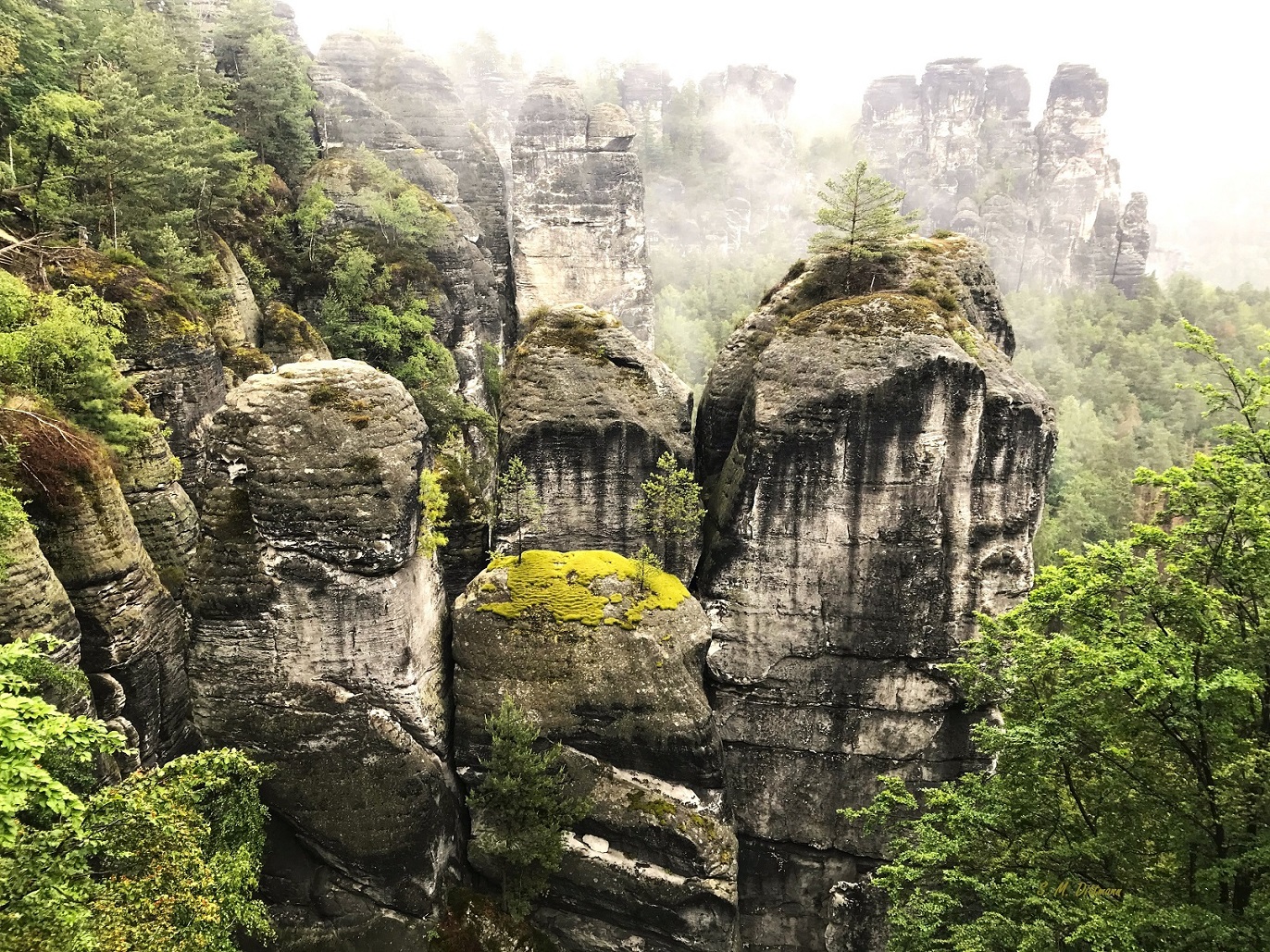 In der Sächsischen Schweiz