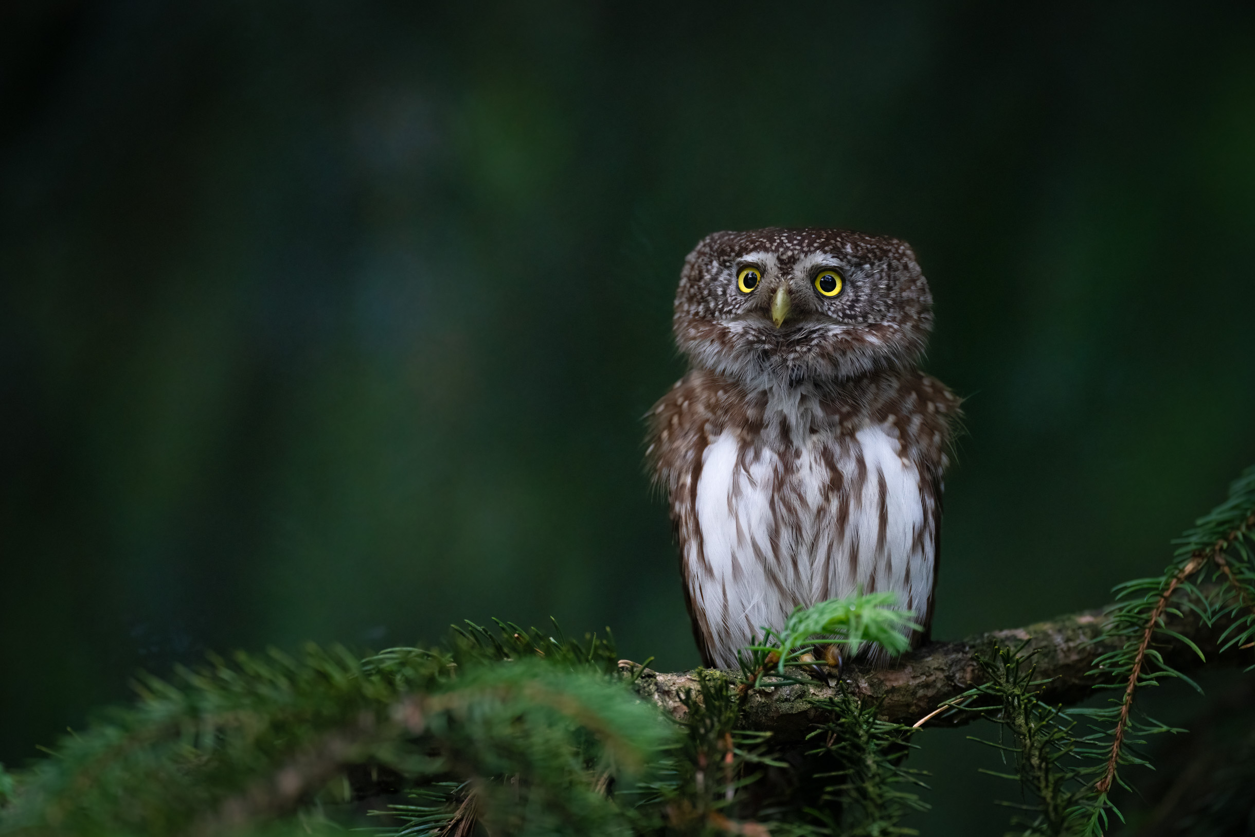 Wie eine Kerze