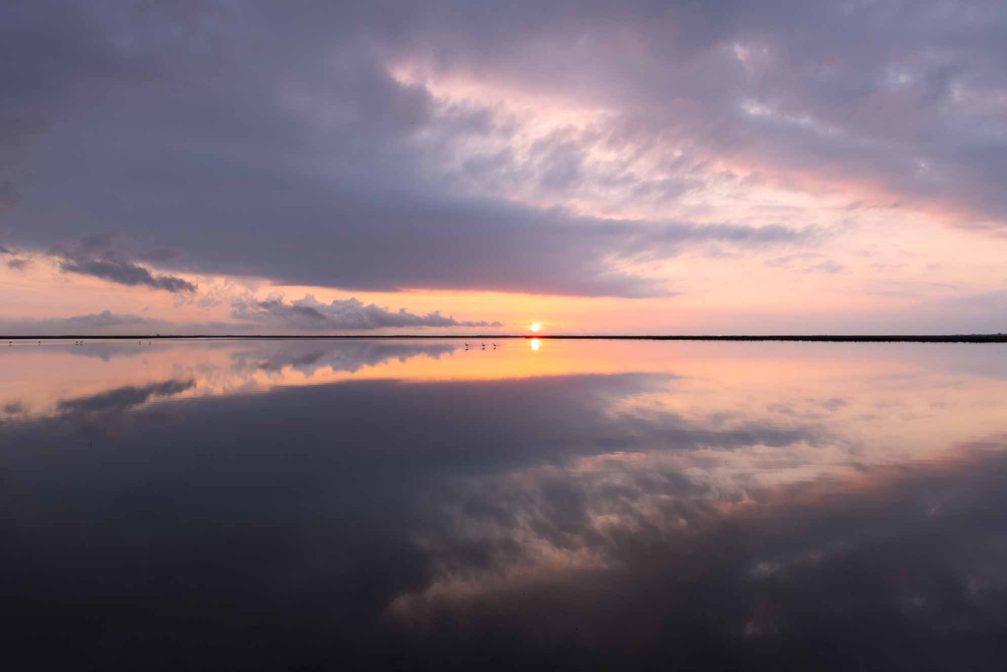 morgens am etang de vacchares
