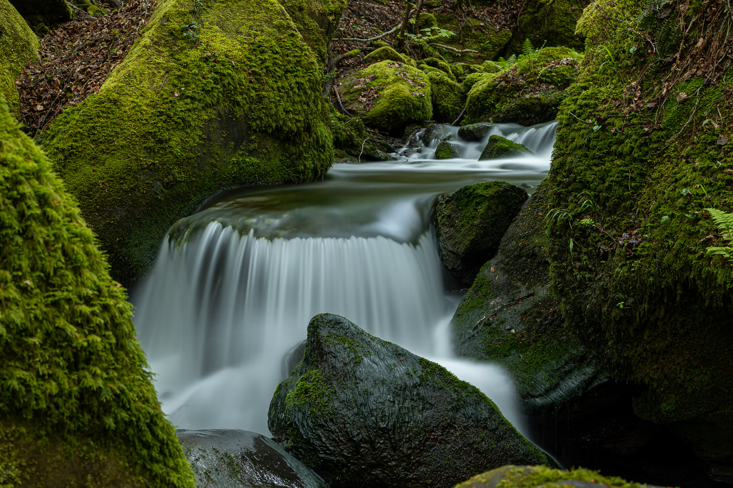 Am Waldbach