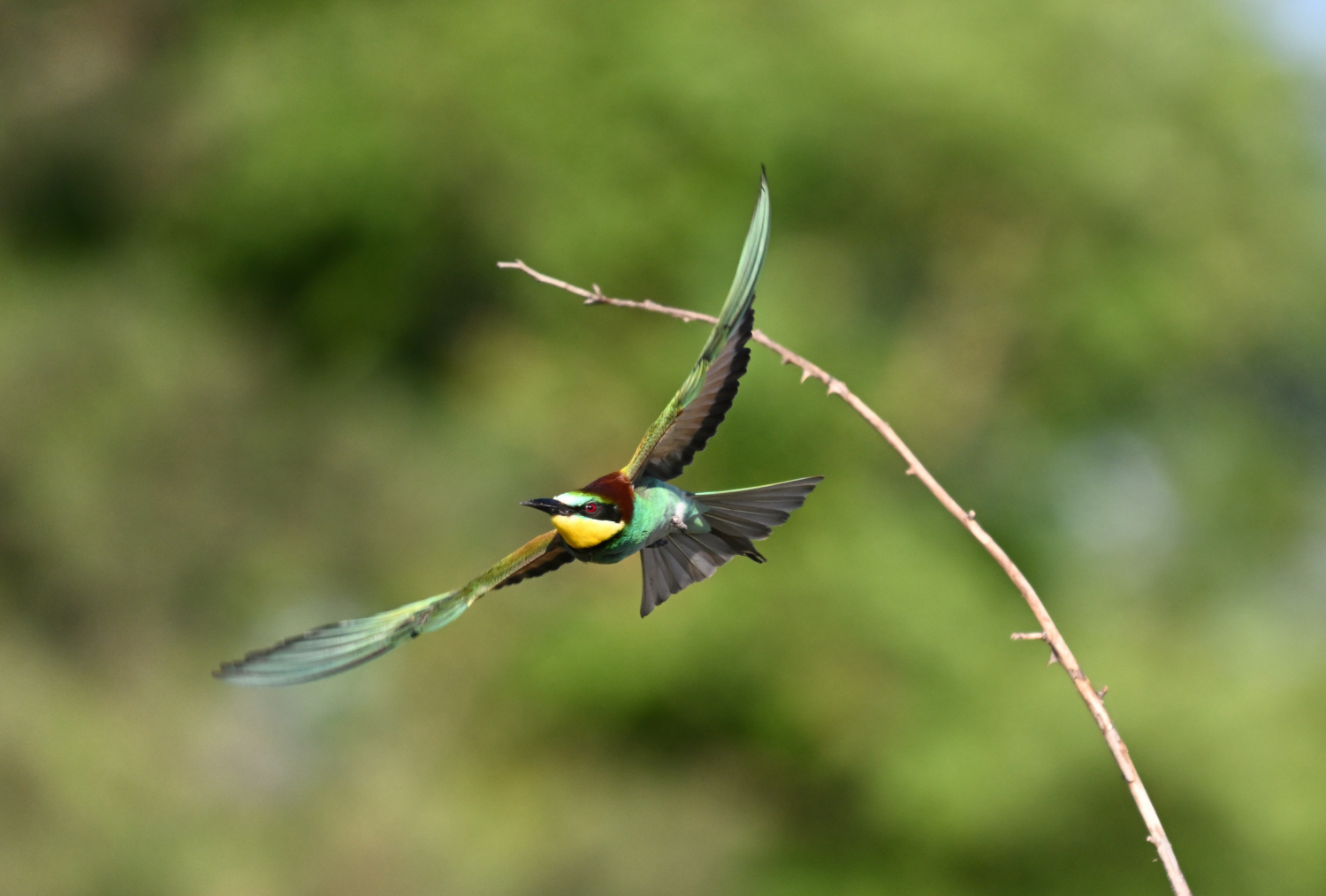 Abflug