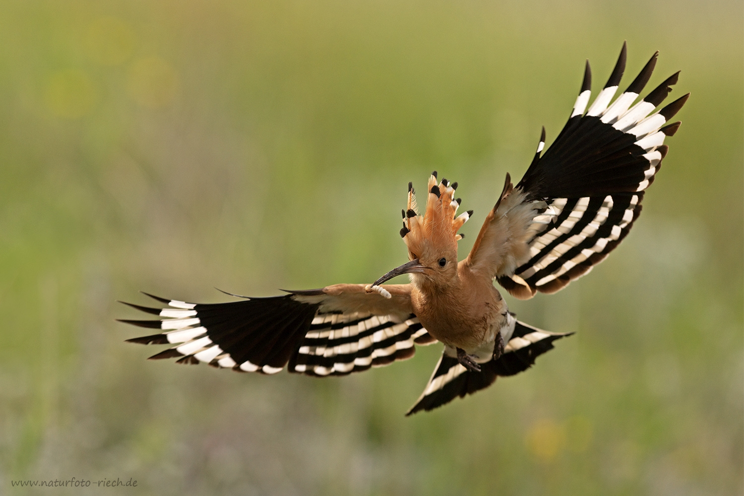 Frontaler Anflug