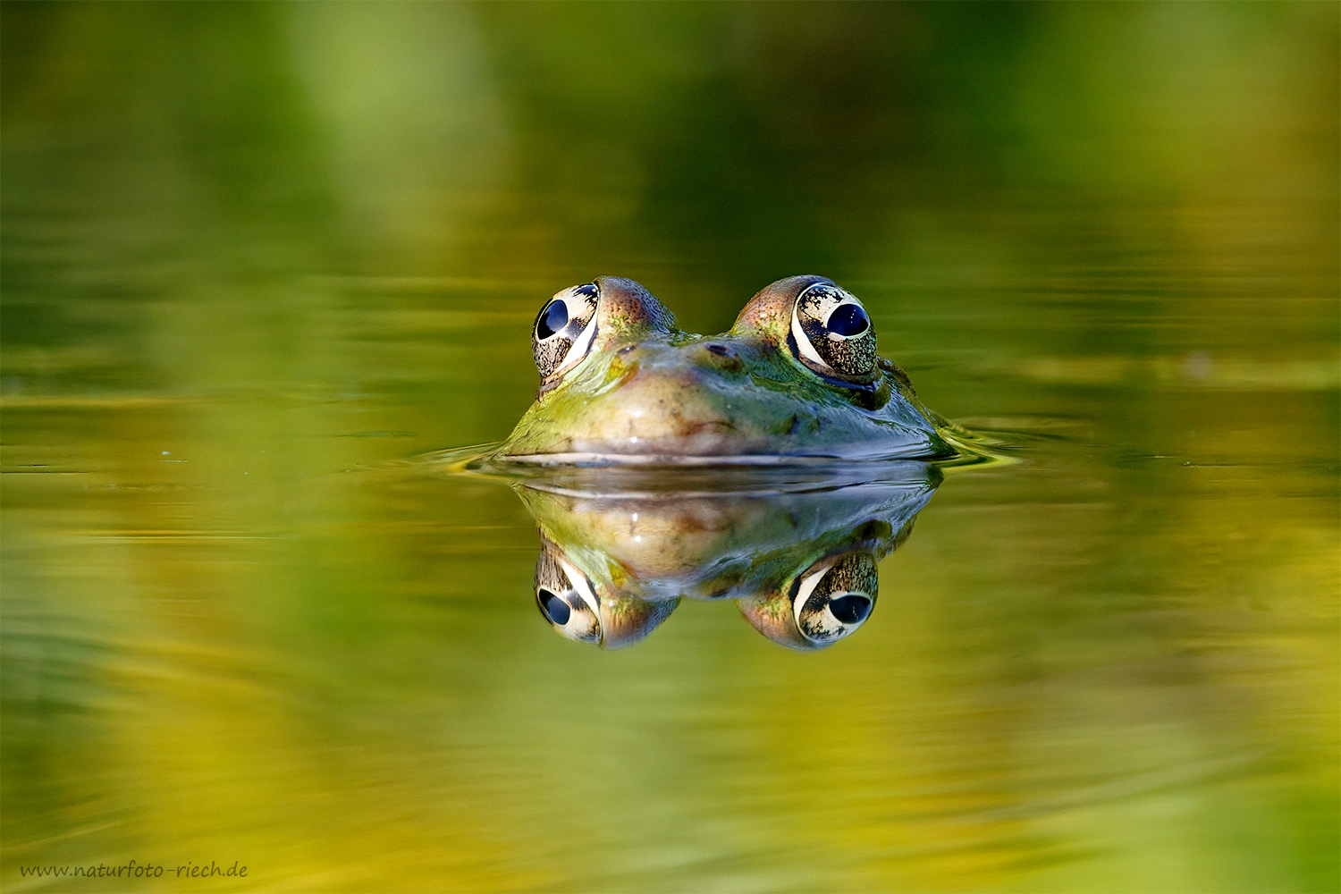 Vier Augen