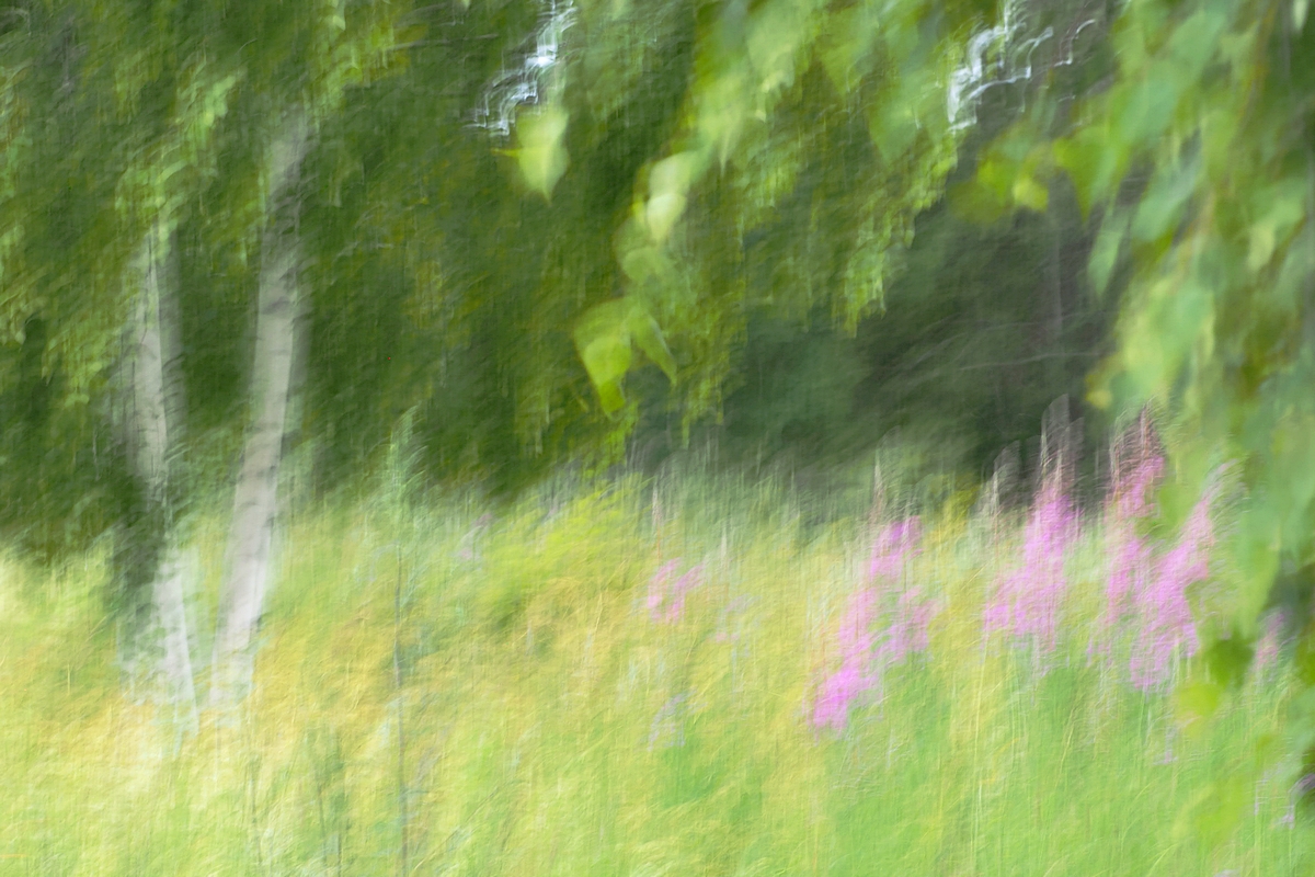 Sommer in Lettland