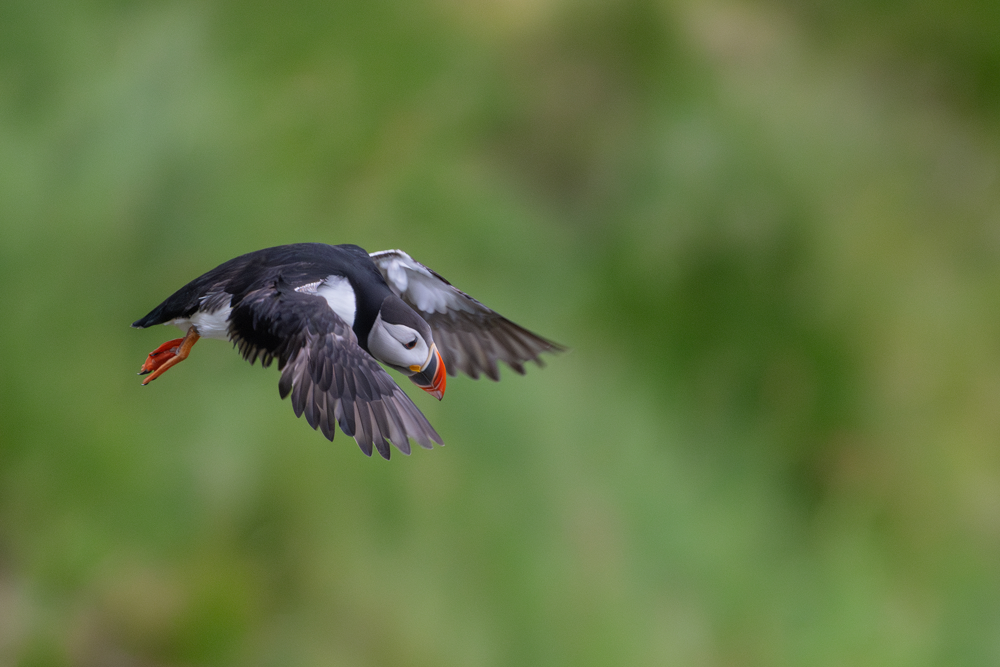 Take off