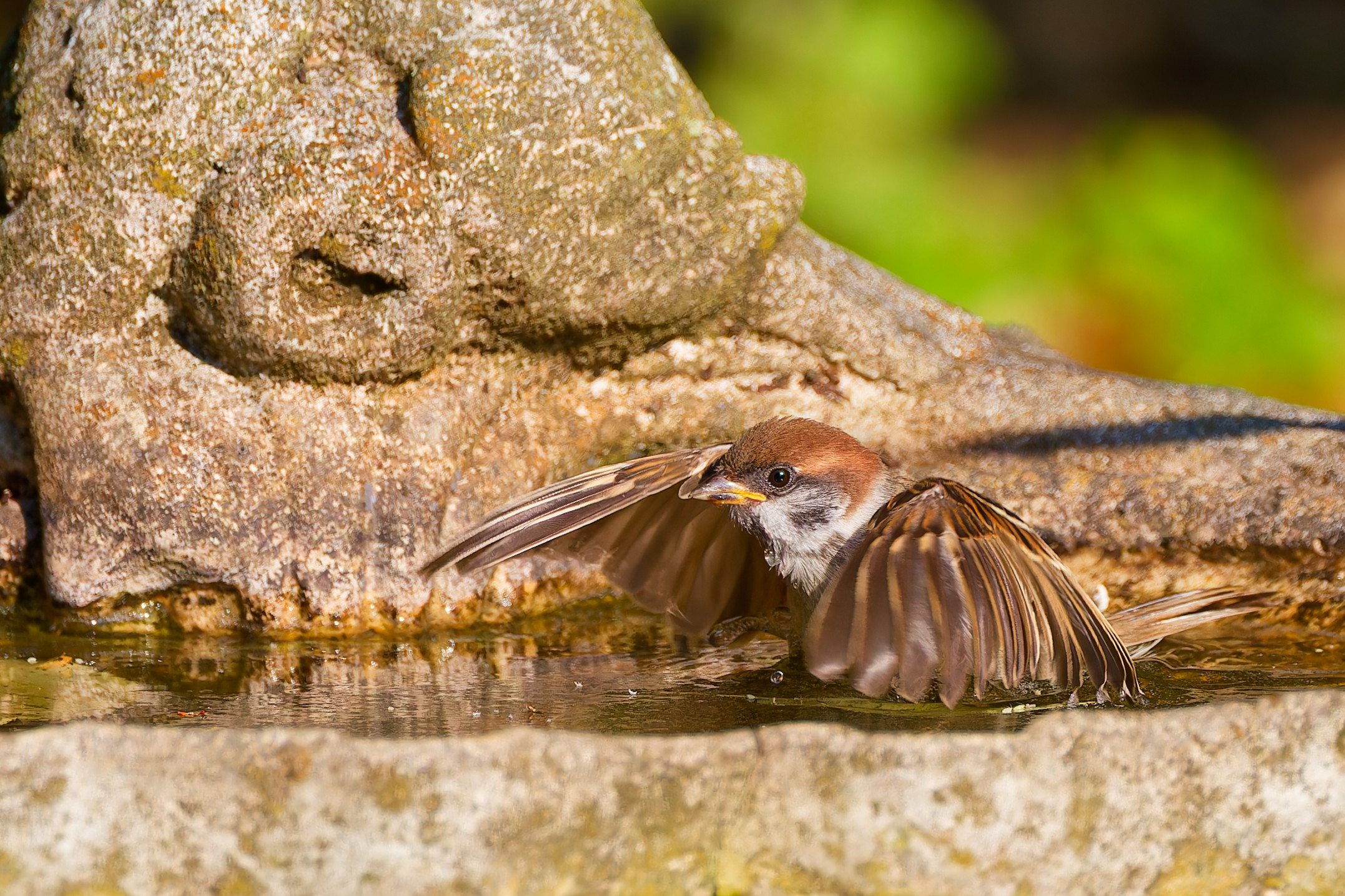 Ein Wasserflugzeug ?