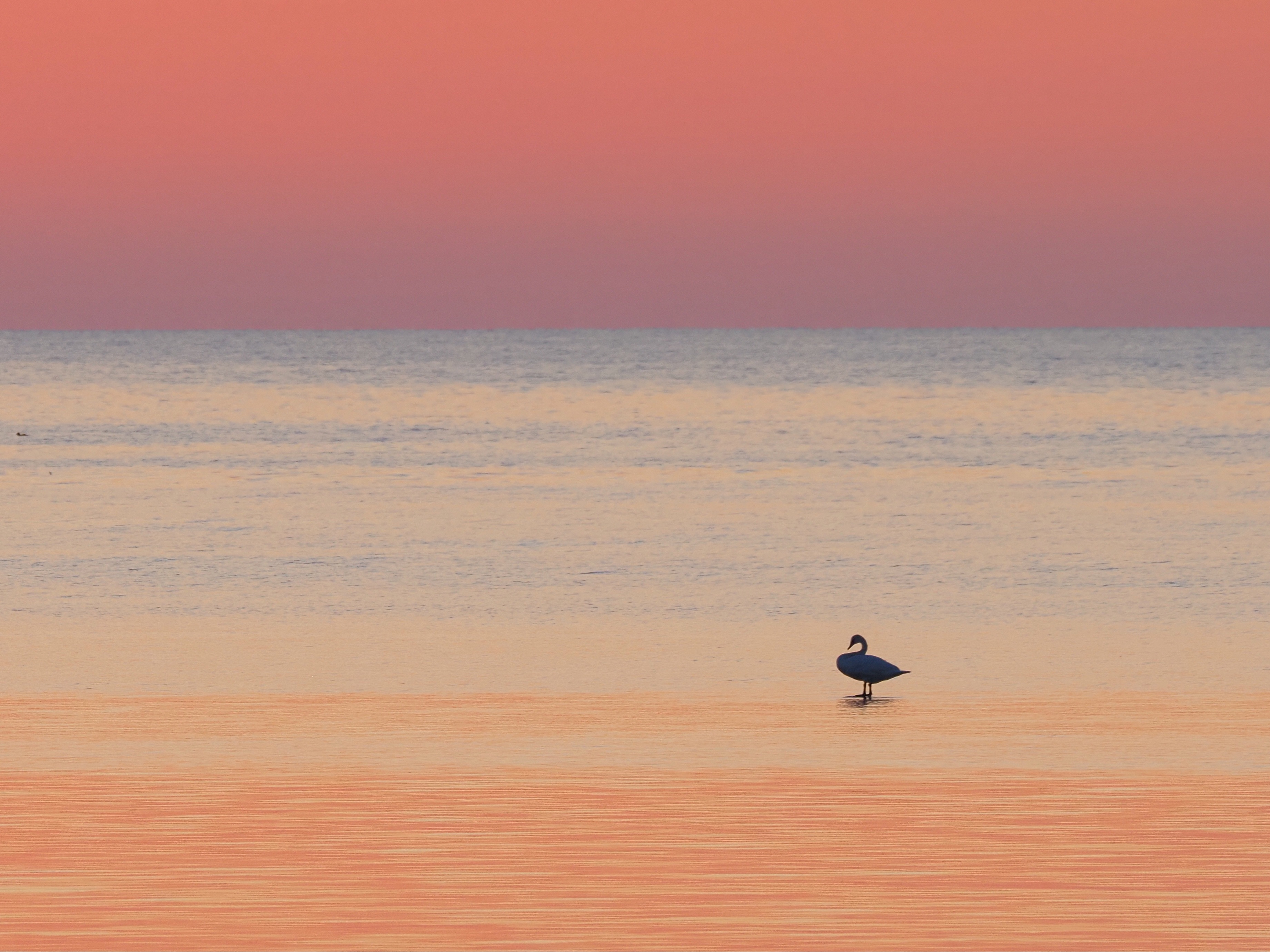 Saaremaa