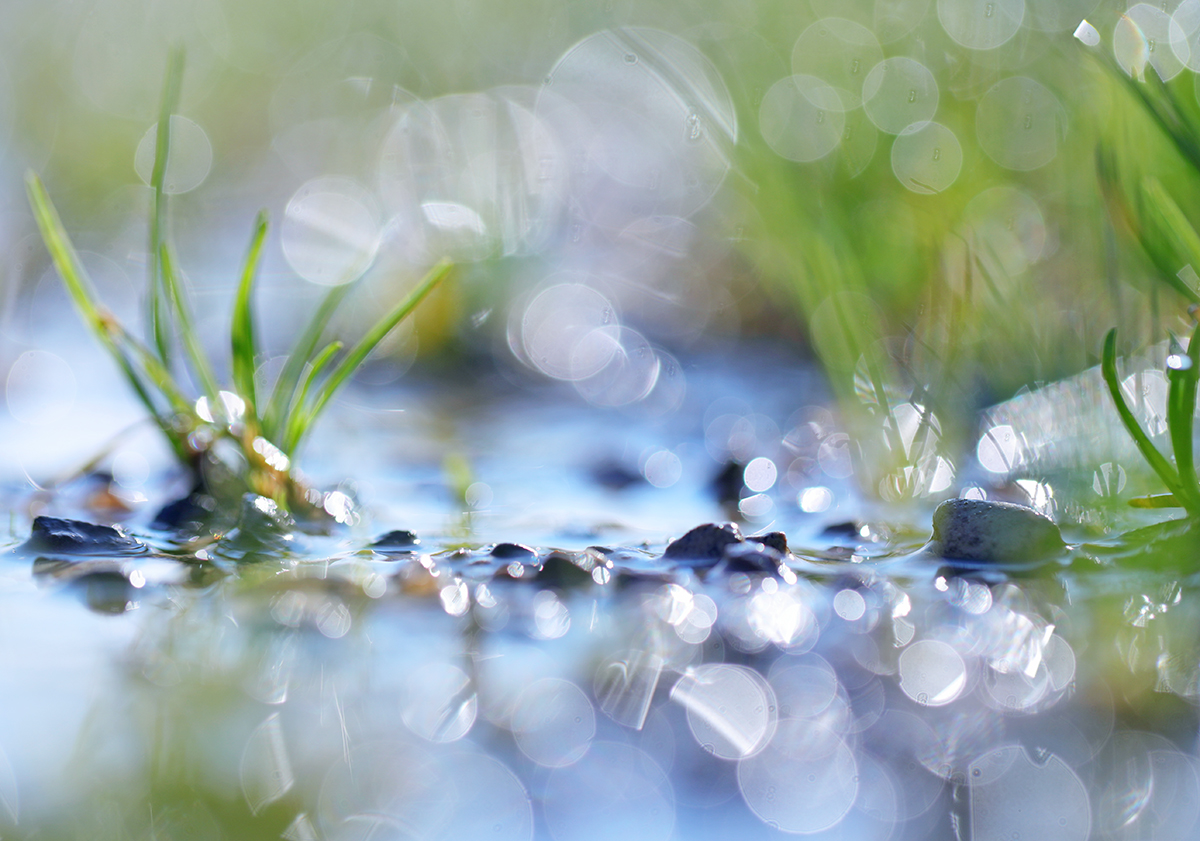 idyllische kleine Welt