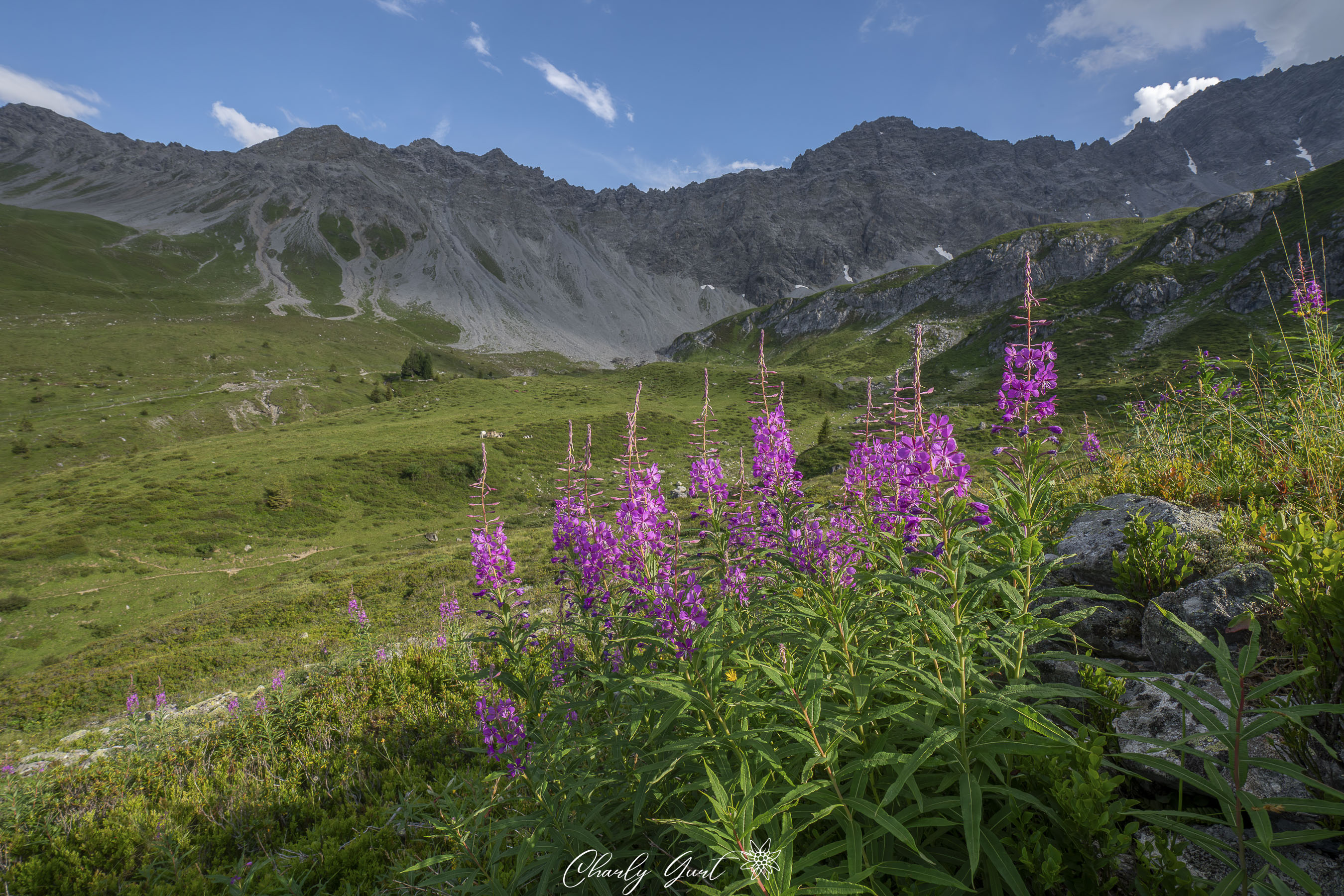 Alpenblick