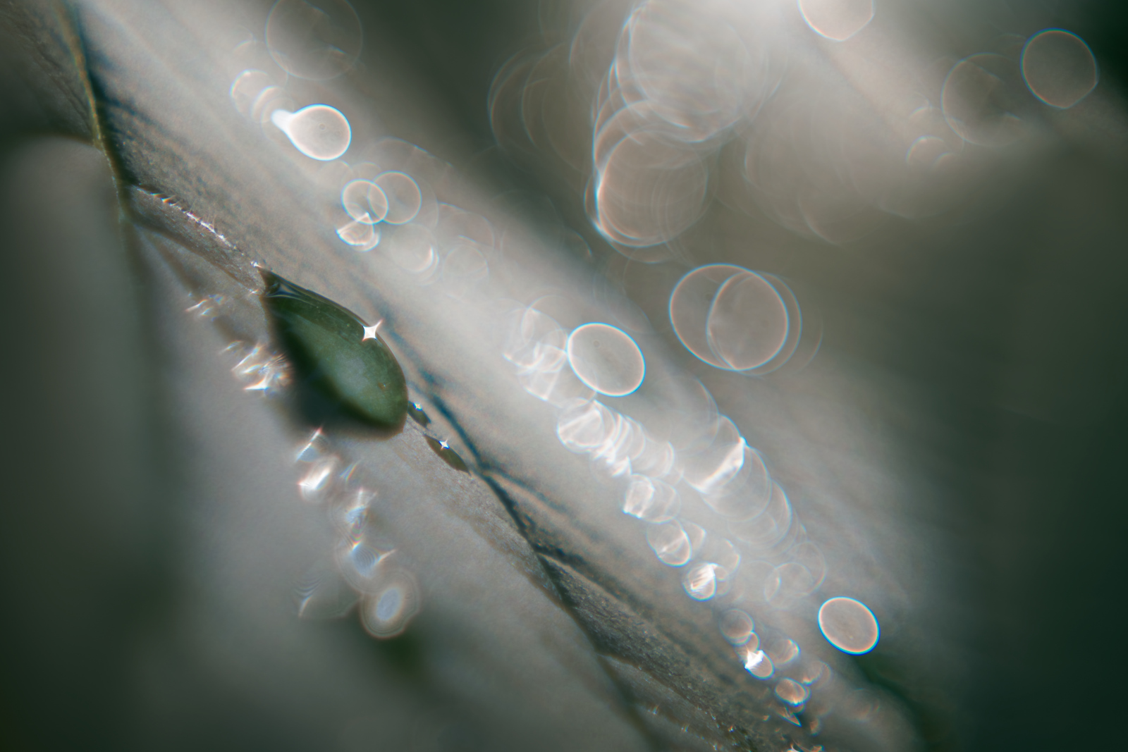 Tropfen mit Altglas