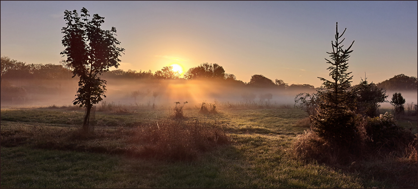 *Nebelmorgen*