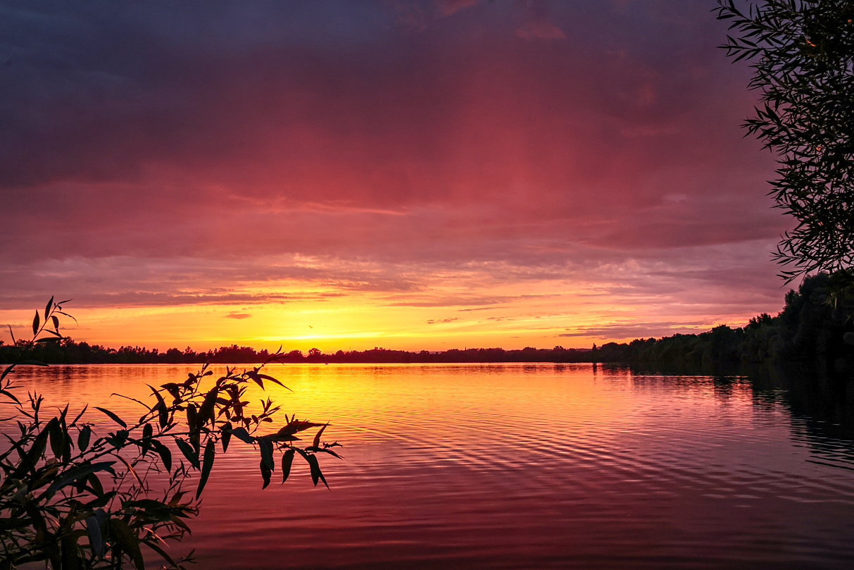 Sonnenuntergang in Himbeer