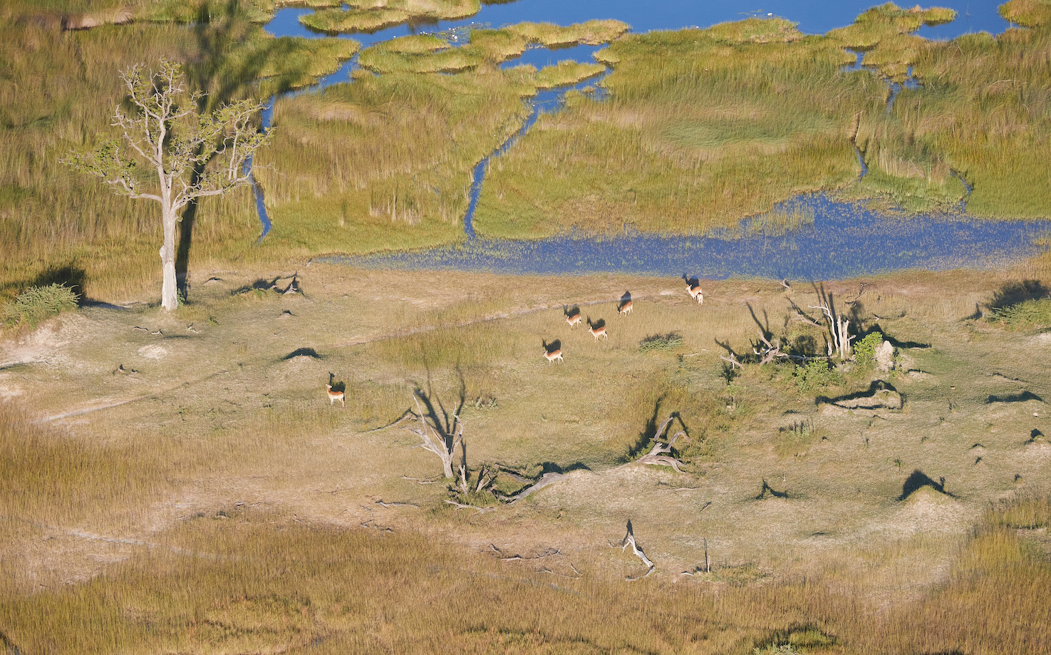 Okavango Delta von oben