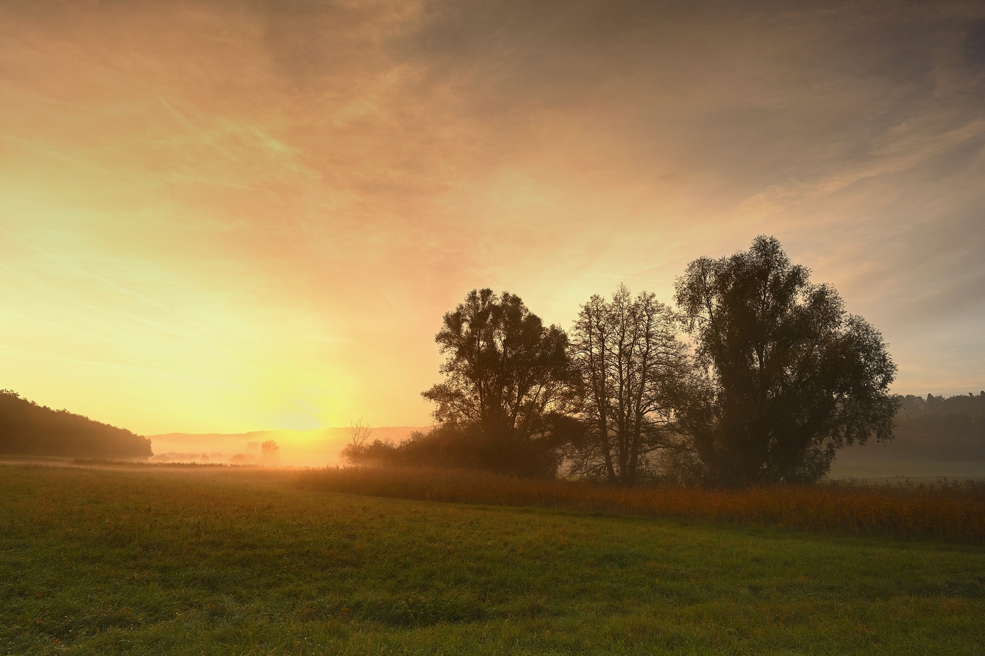 Herbstmorgen