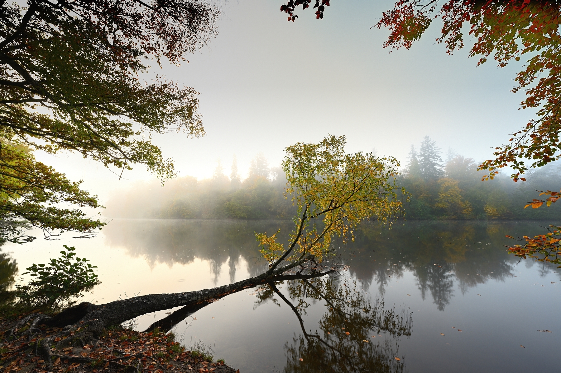 Bärensee