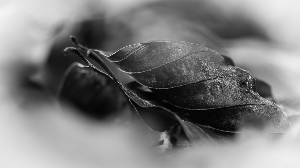Herbstzeit...