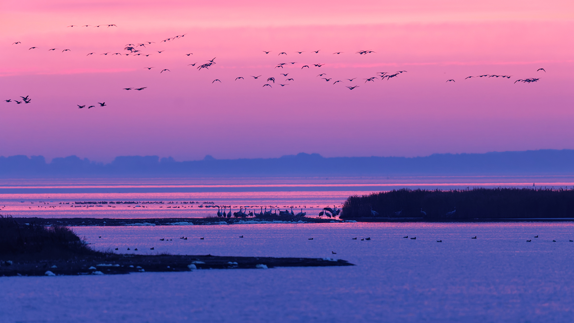 morgens am Bodden