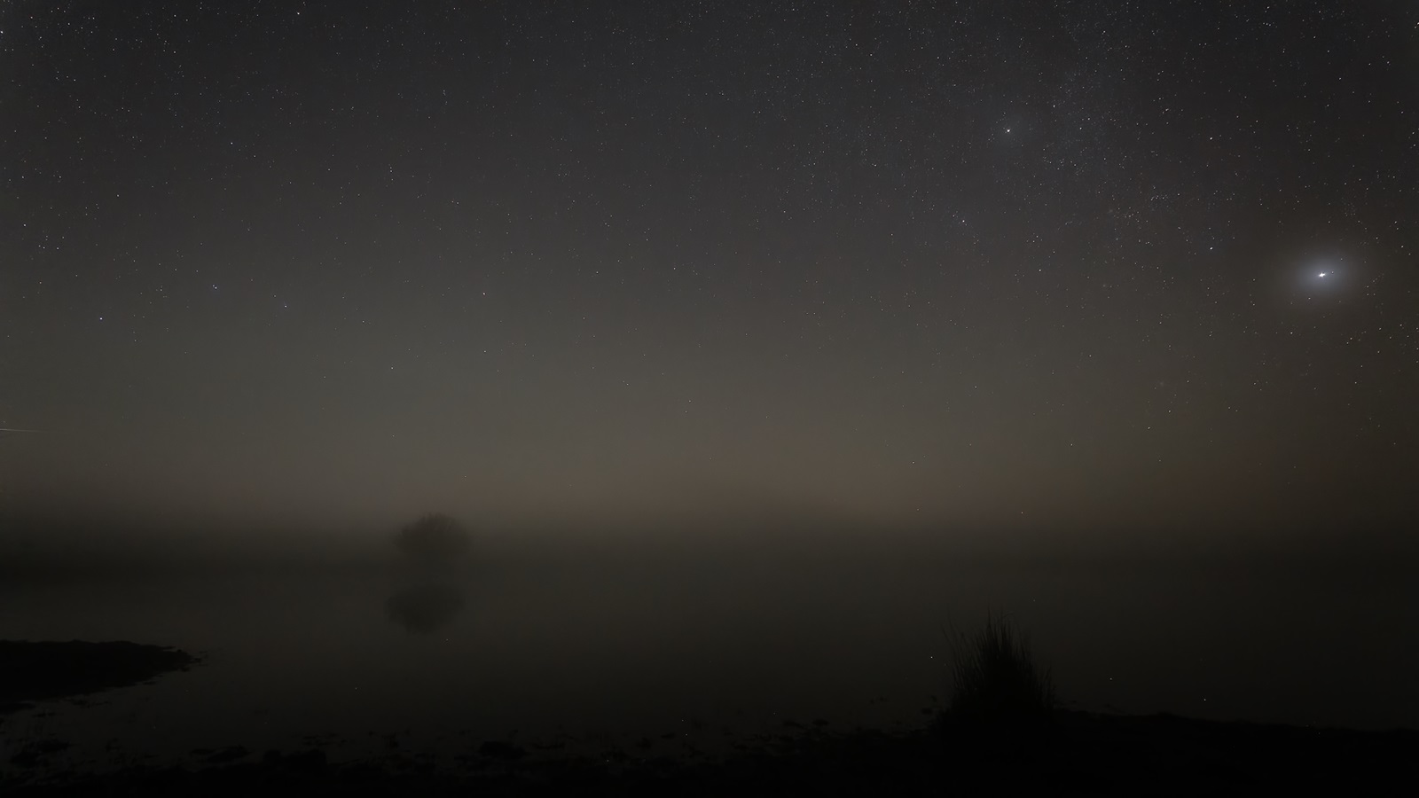 Nebel über dem Moor