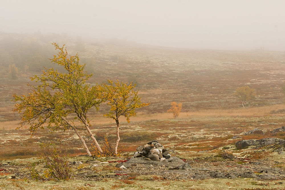 Dovrefjell