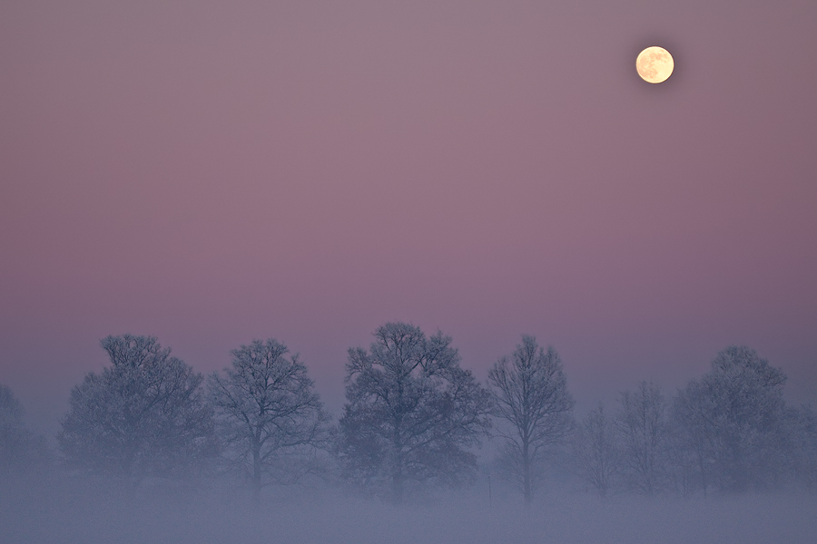 Winterabend II