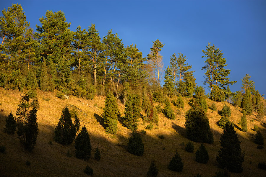 Fränkische Schweiz