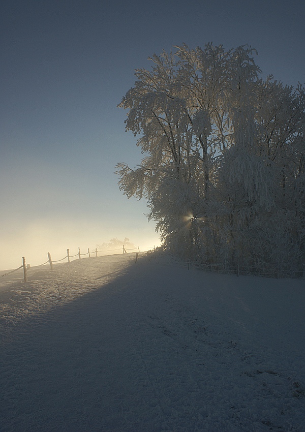 Der Sonne entgegen