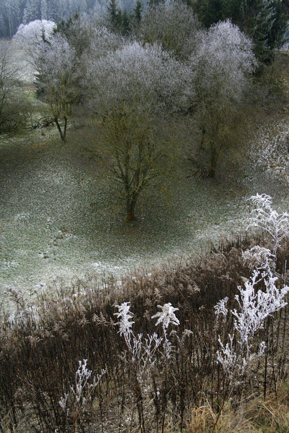Senke am Wald