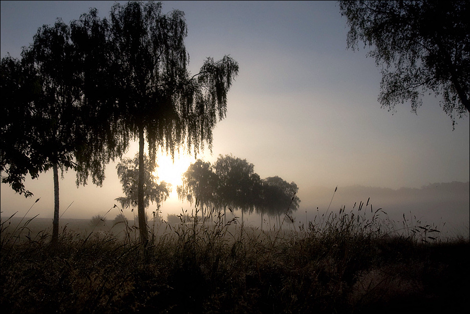 Nebelmorgen