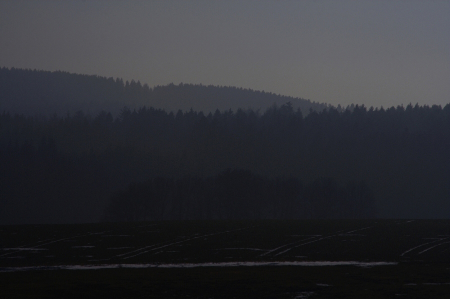 Nebelwald