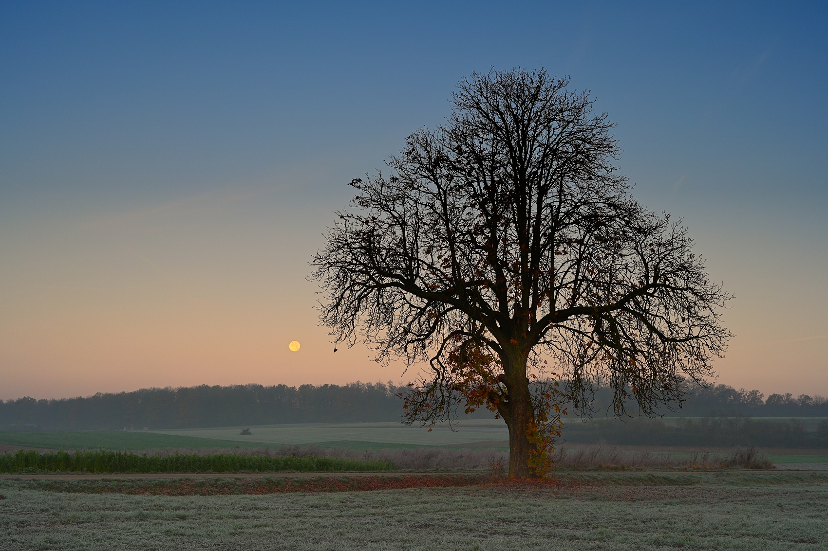 Herbst