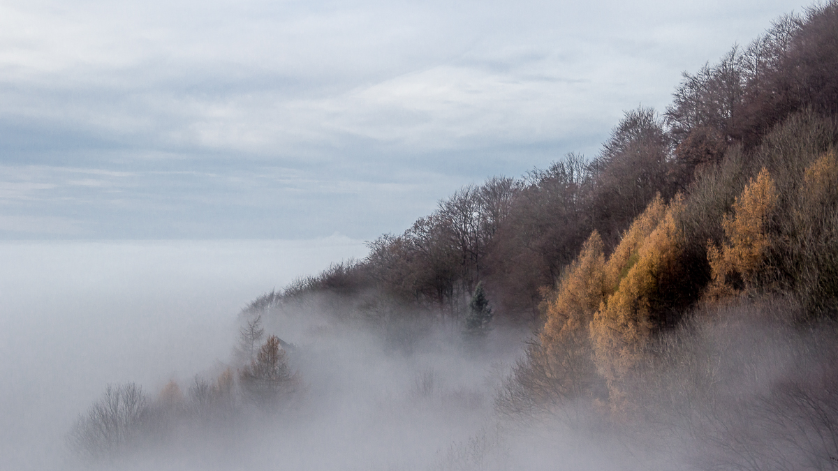 Tal im Nebel