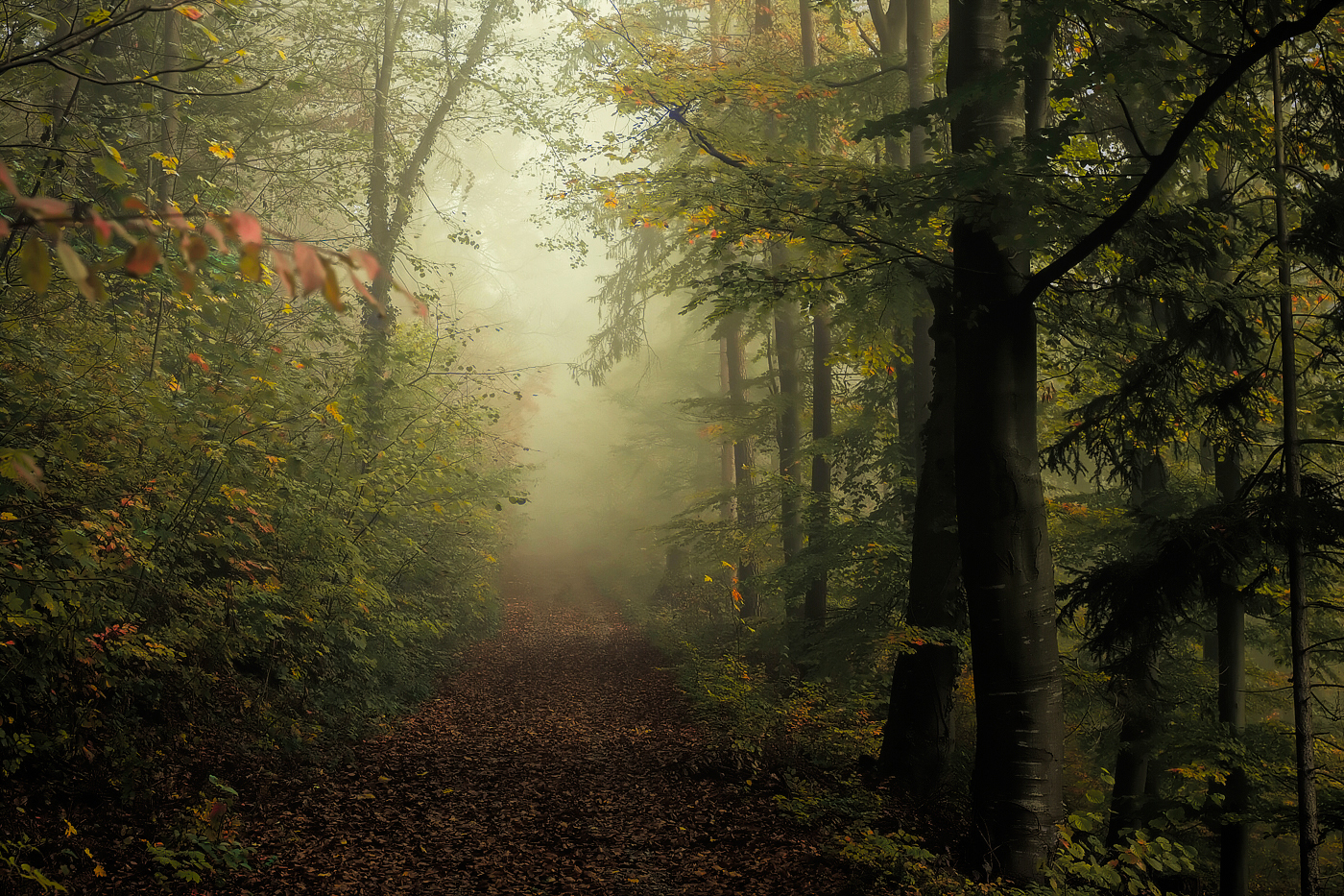 Ein letztes Herbstbild