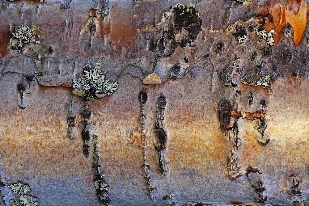 Holzlandschaft