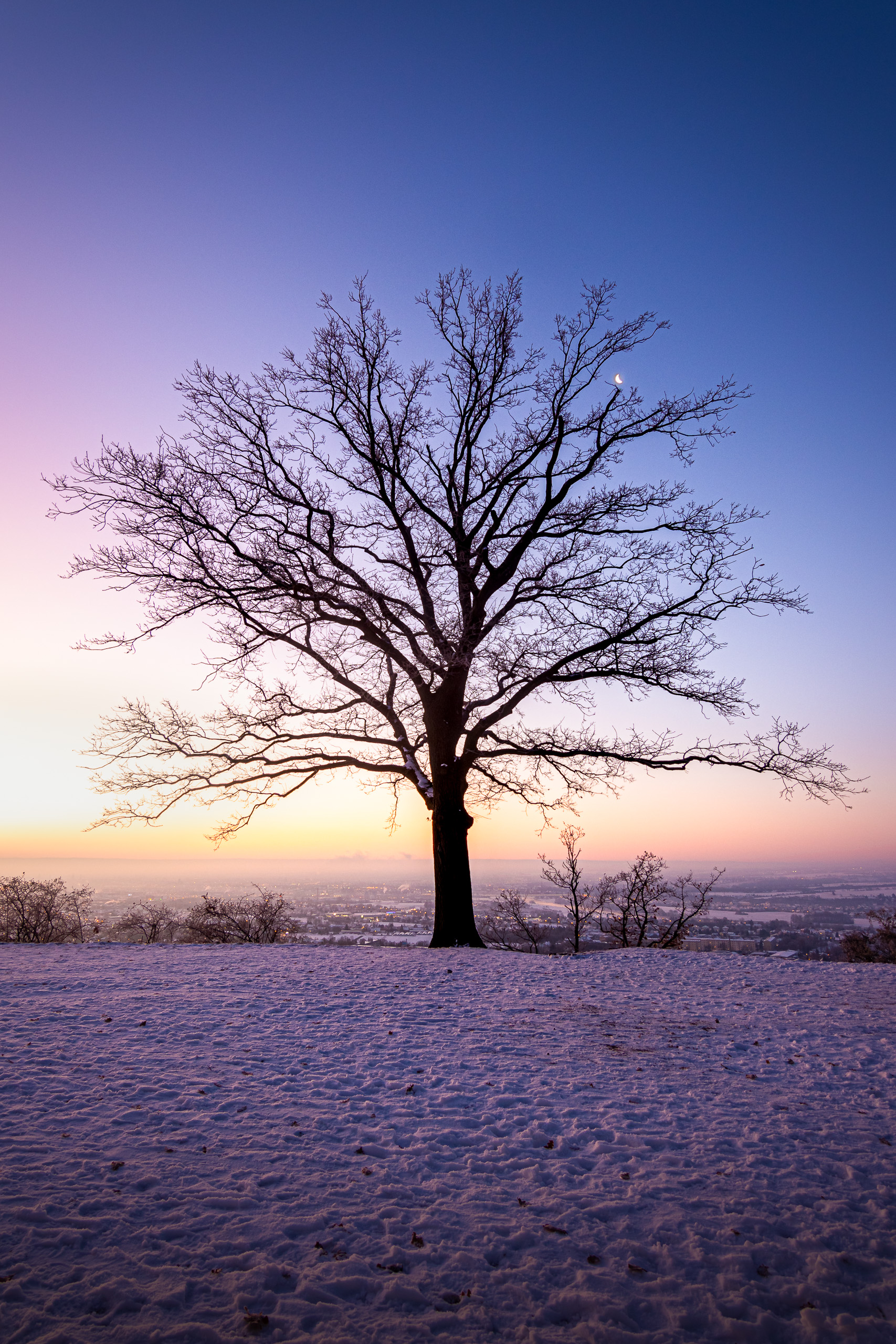 Ein kalter Dezembermorgen