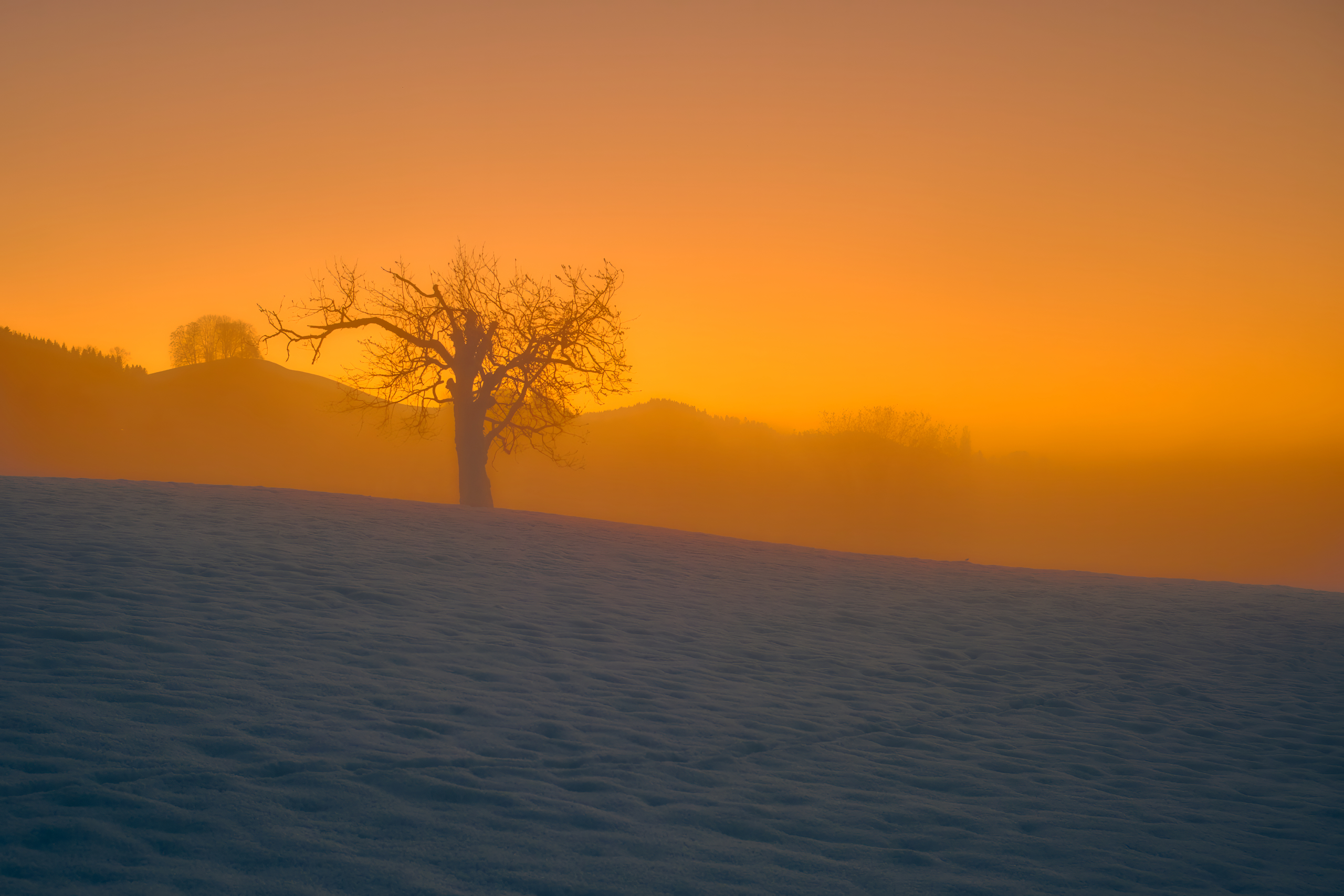 Sonnenuntergang über der Nebelbank