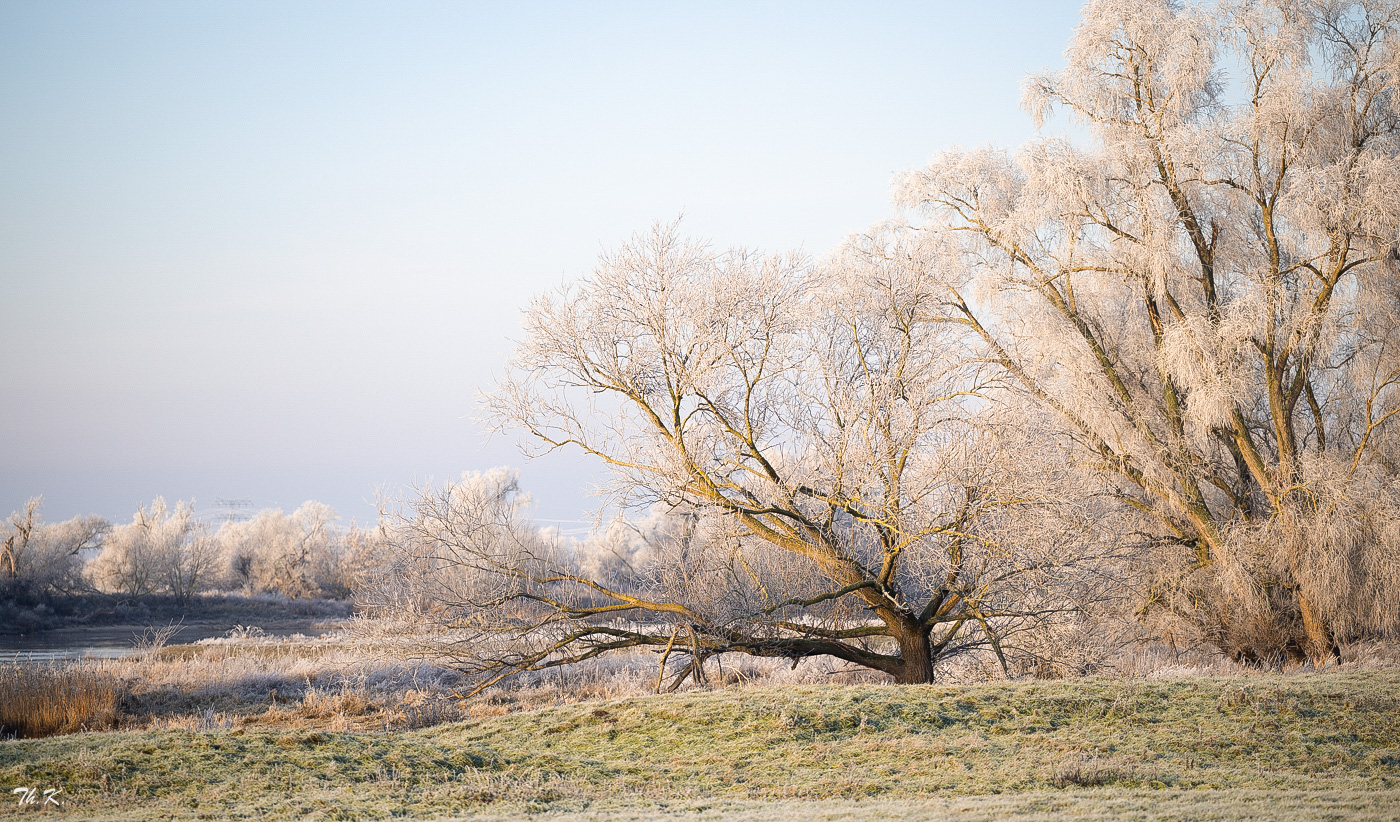 Ein Hauch vom Winter ....