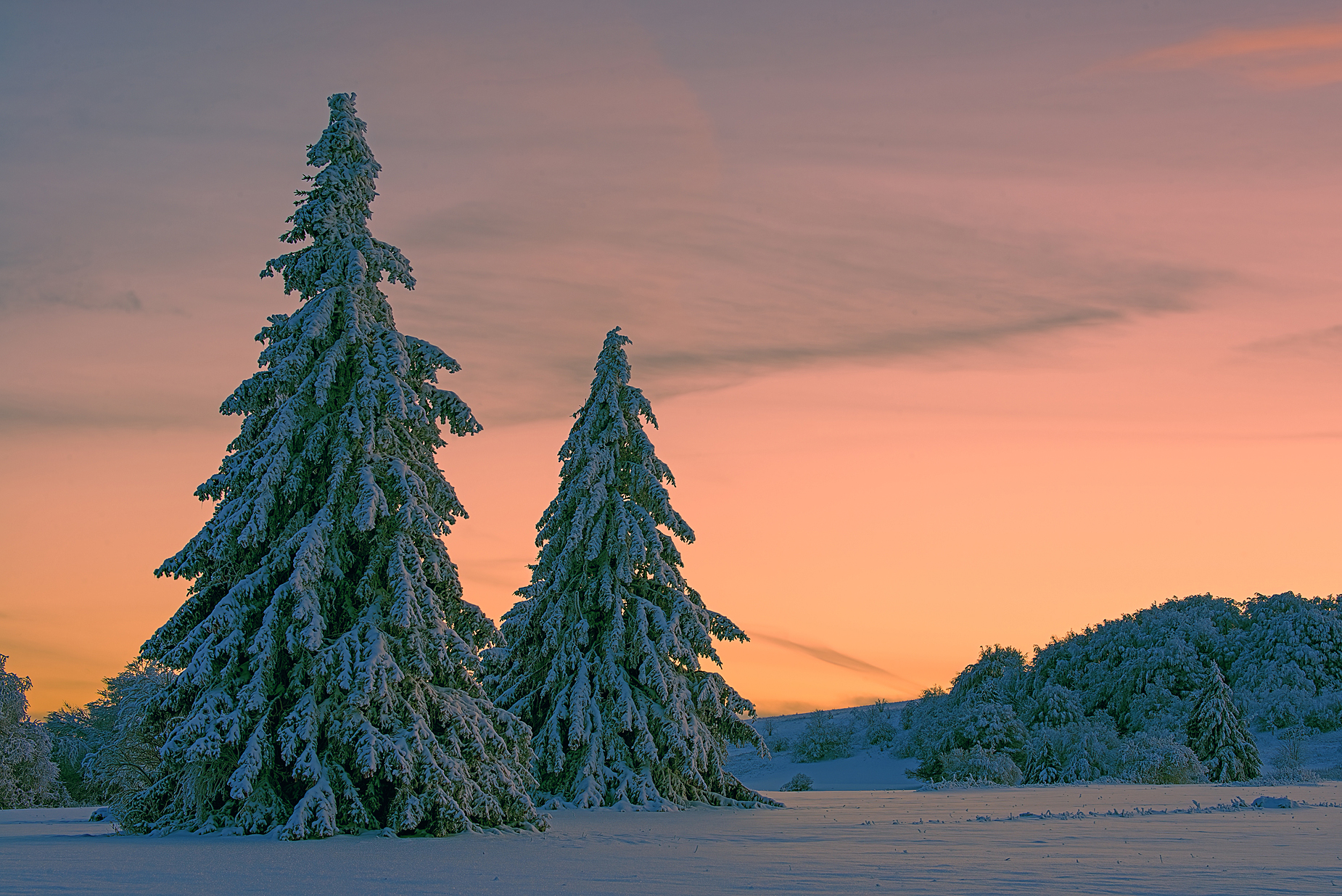 Zum Sonnenuntergang in der Hohen Rhön