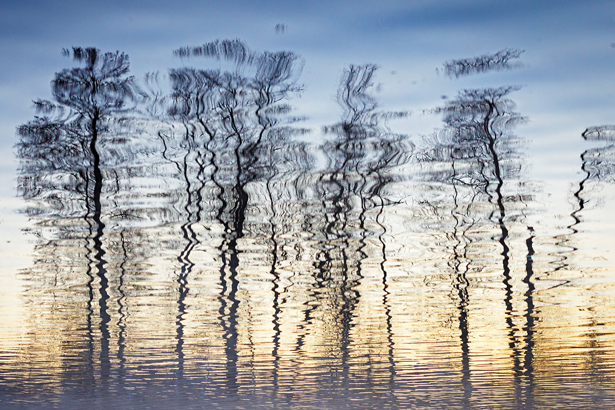 verkehrte Spiegelwelt