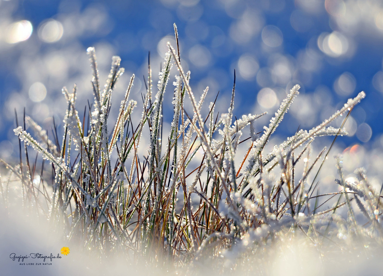 Ein kalter Wintermorgen