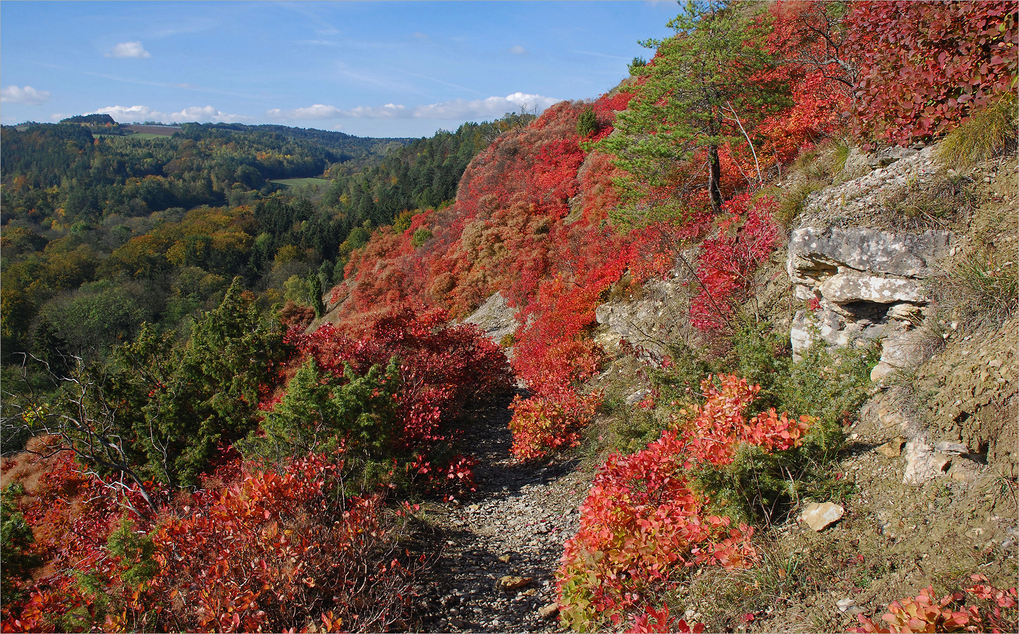 Roter Herbst