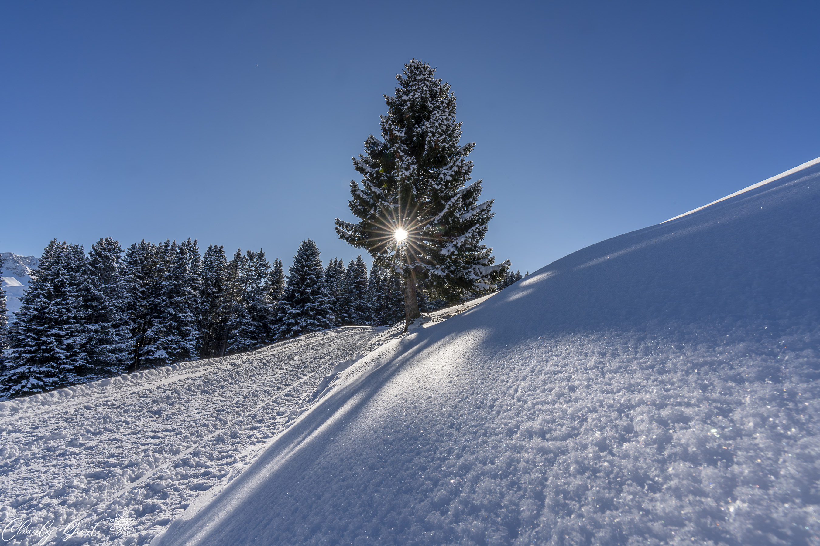 Winterspaziergang