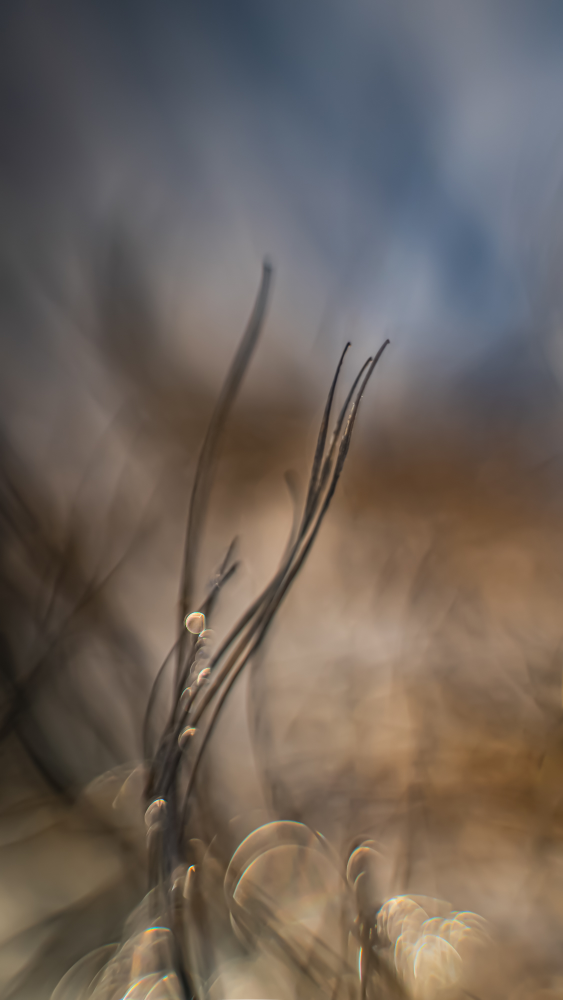 Am Wegesrand (Altglas)