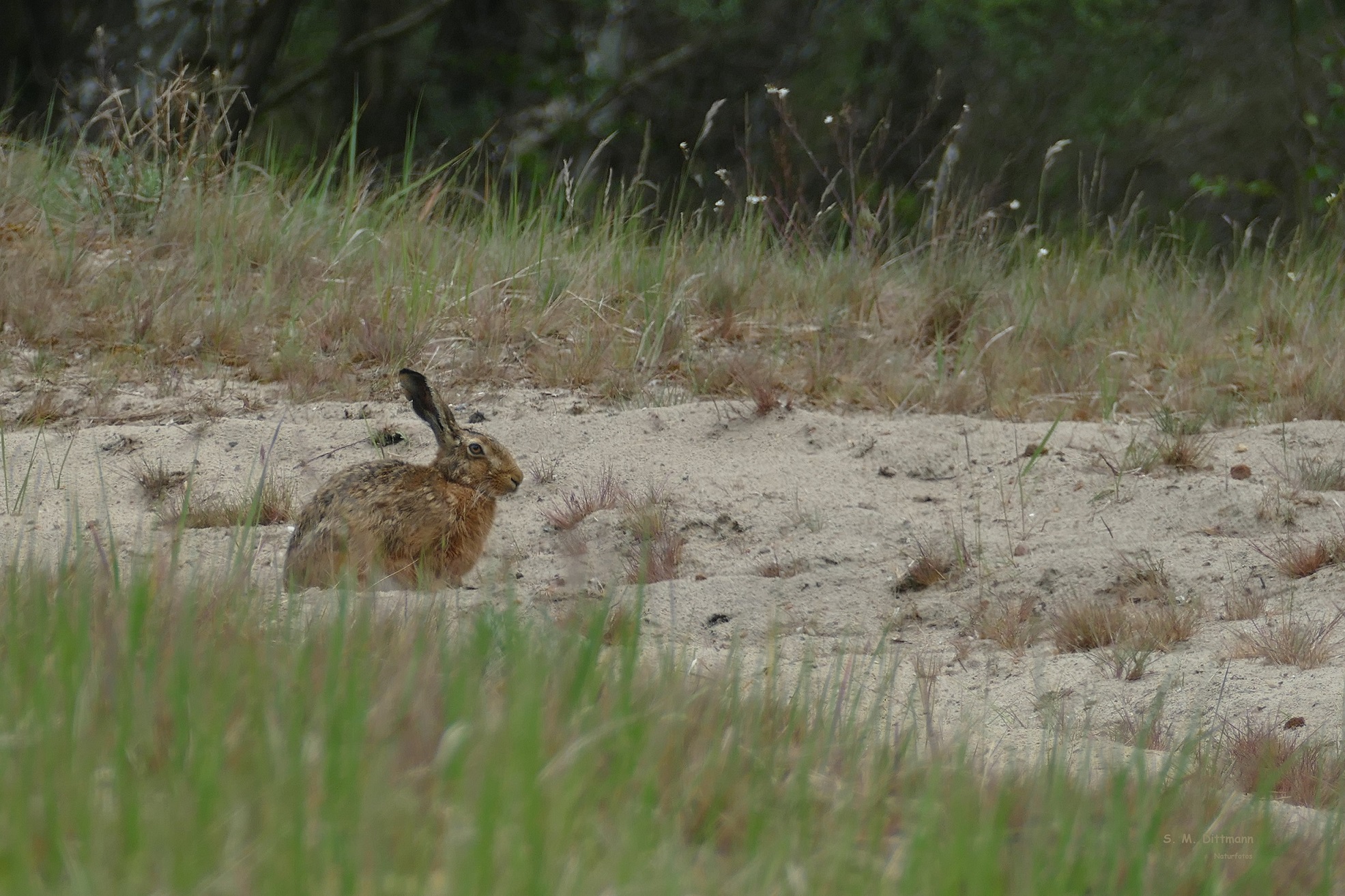 Auf der Sandfläche