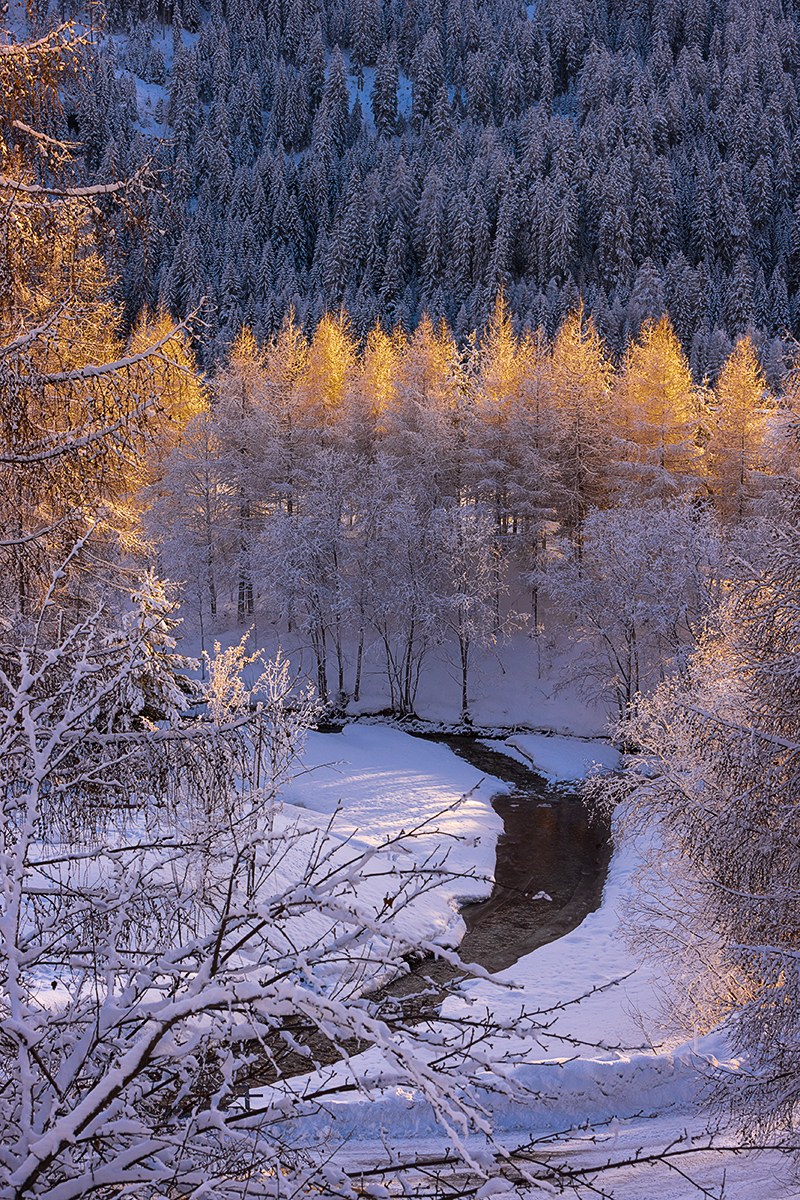 Streiflicht bei Sufers