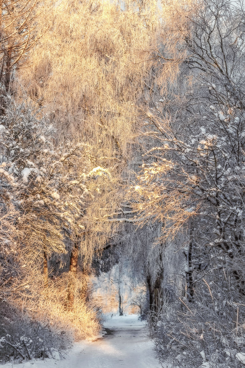 Winter und Wintersonne