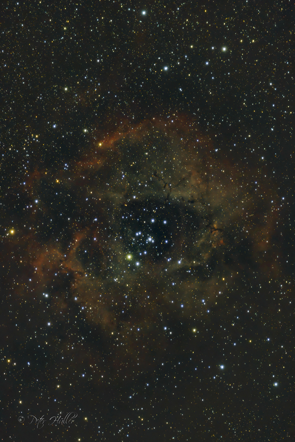 NGC 2237 Rosettennebel