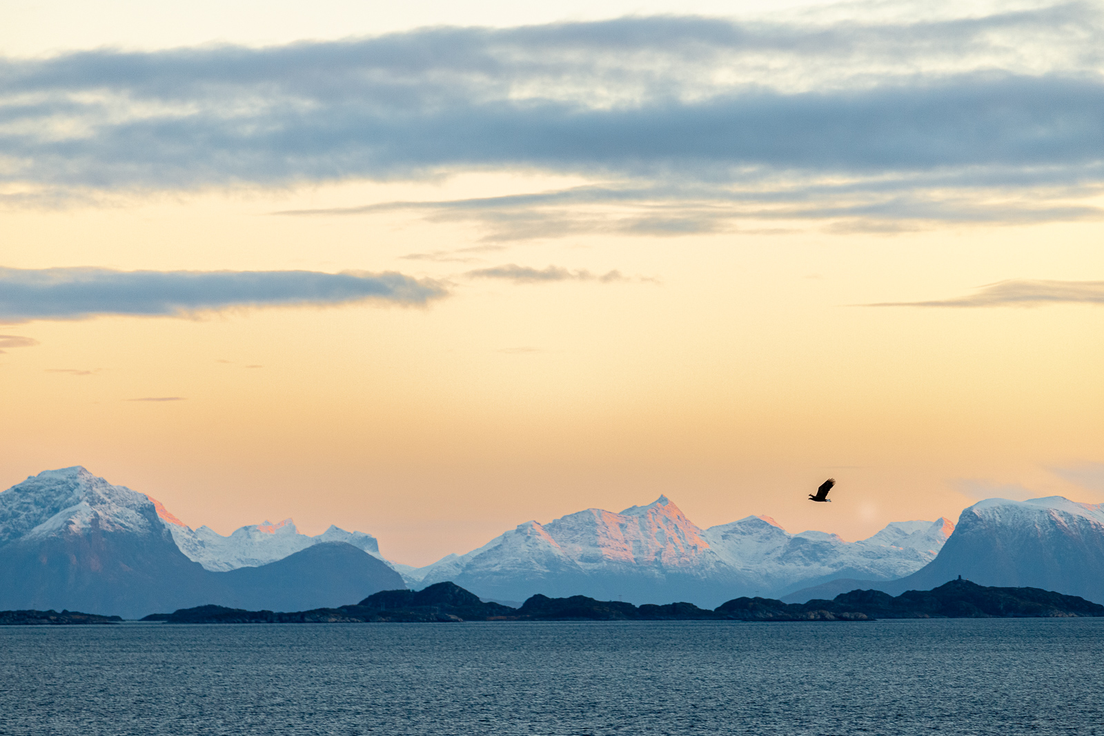 Wintermorgen in den Lofoten